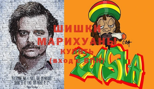 индика Верхнеуральск