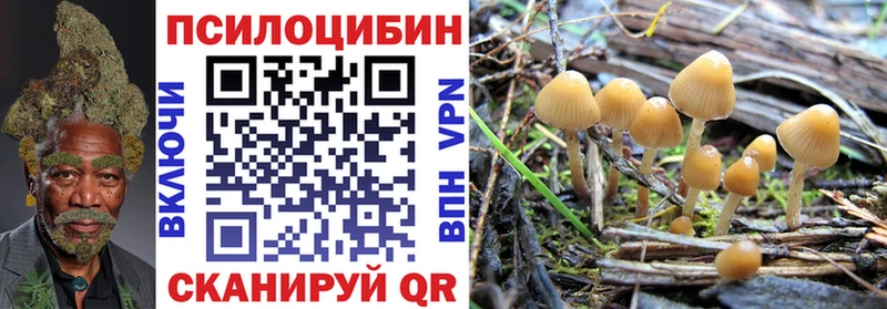 Галлюциногенные грибы GOLDEN TEACHER  Магнитогорск 